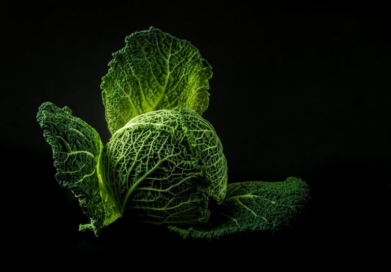10 A1C Lowering Foods You Need in Your Diet Now