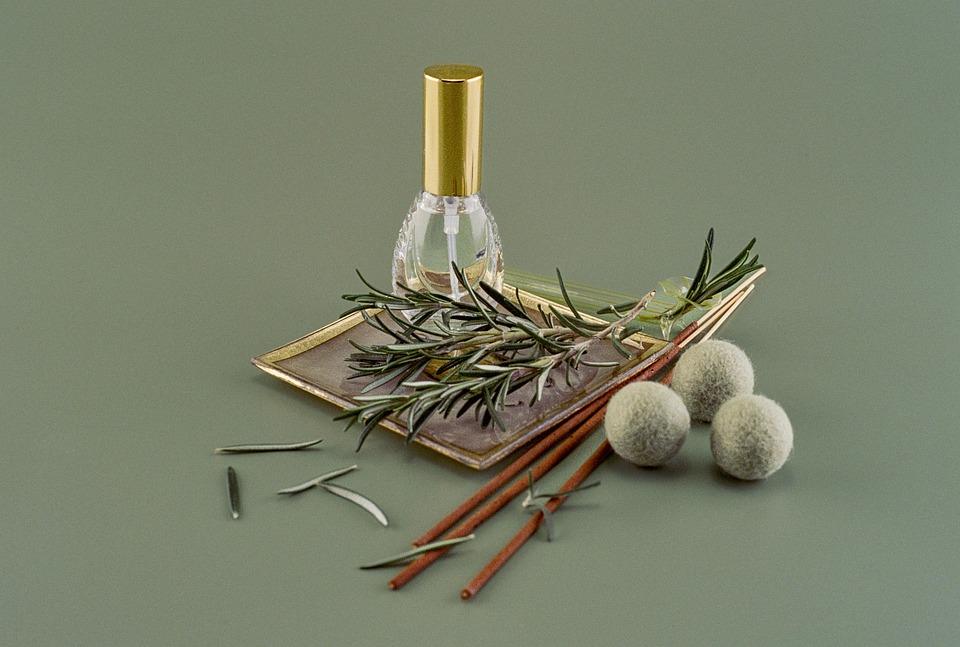 10 Amazing Herbs for Ultimate Wellness You Need to Try