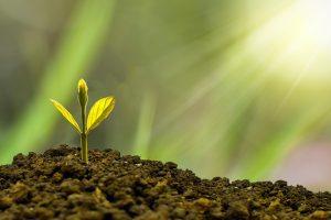 10 Clever Ways to Make Money Fast with No Investment