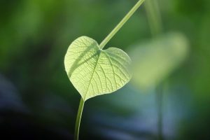 10 Eco-Friendly Home Products You'll Love Today!