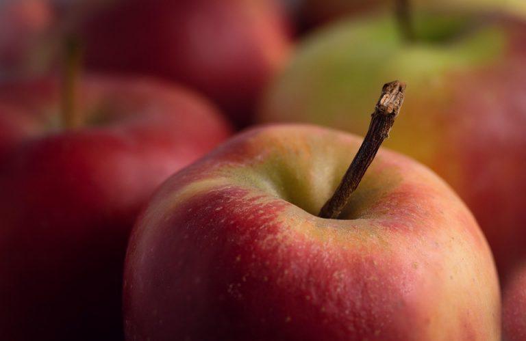10 Essential Vitamins for Boosting Your Immune System
