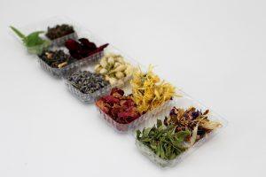 10 Herbal Remedies to Boost Your Immune System Naturally