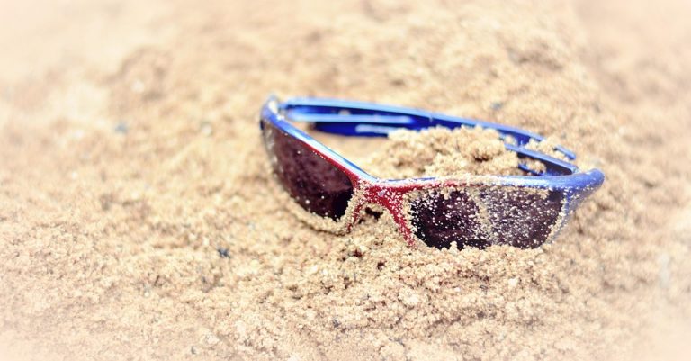 10 Must-Have Pet Travel Accessories for Adventurous Trips