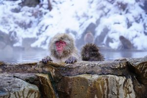 10 Must-Know Onsen Etiquette Tips for Japan Travelers