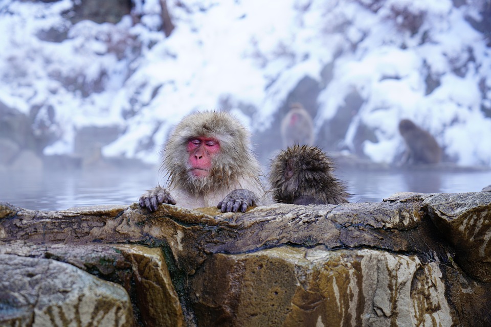 10 Must-Know Onsen Etiquette Tips for Japan Travelers