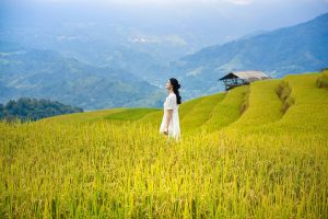 10 Natural Aphrodisiacs for Women to Ignite Passion