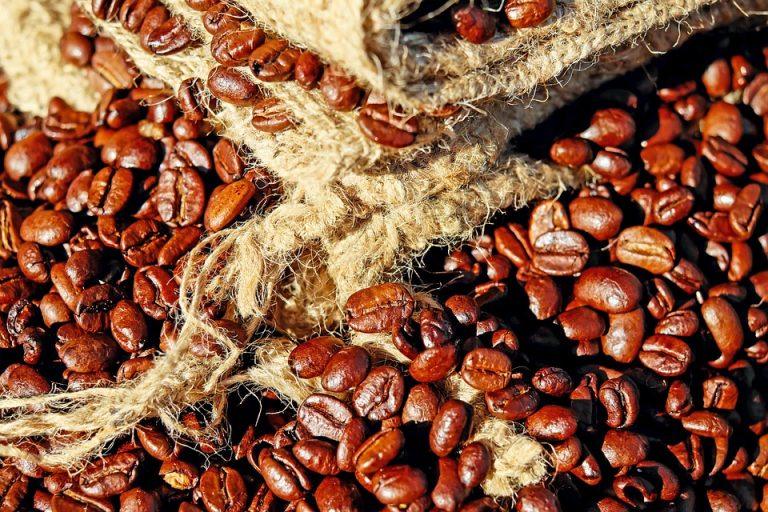 10 Natural Energy Foods to Boost Your Day Instantly