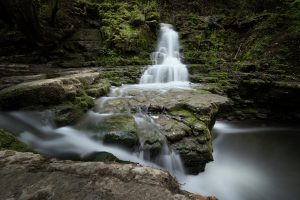 10 Natural Mood Boosters to Brighten Your Day