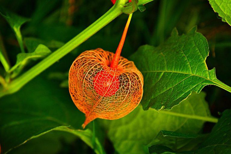 10 Natural Tips for Better Bladder Control Today!