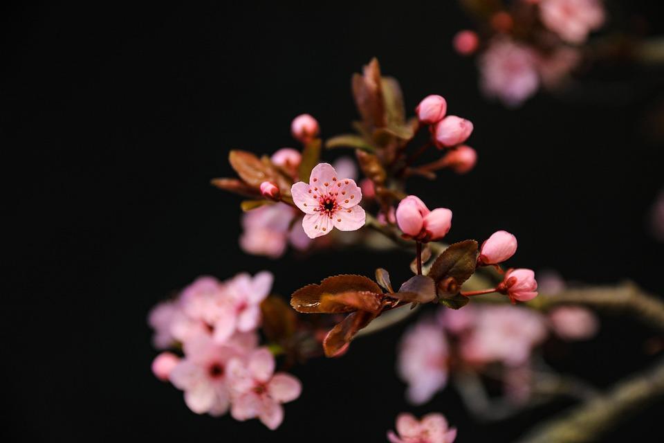 10 Natural Tips to Keep Your Blood Sugar in Check