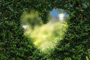 10 Natural Ways to Boost Your Heart Health Today