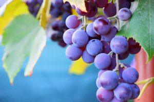 10 Natural Ways to Boost Your Metabolism Today!