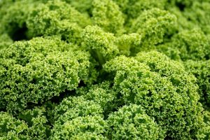 10 Reasons to Switch to Vegan Skincare Today