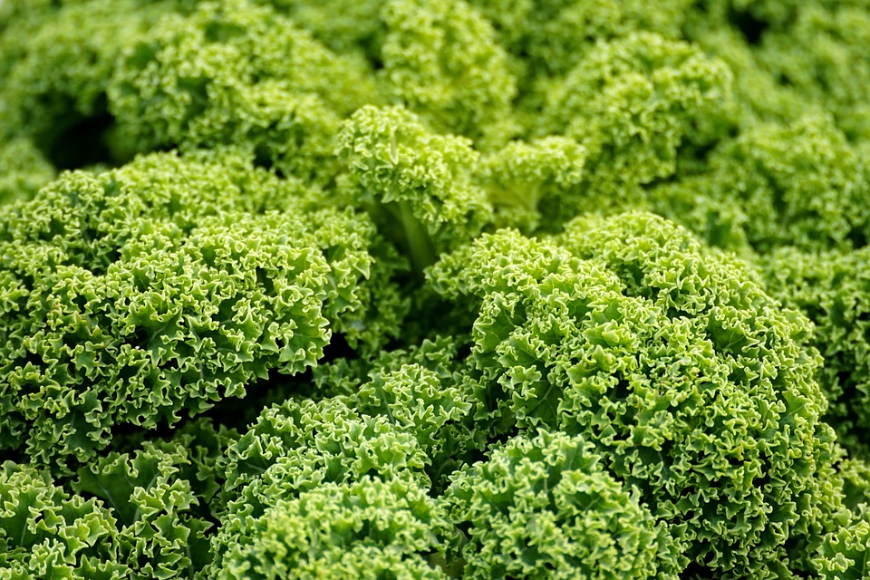 10 Reasons to Switch to Vegan Skincare Today