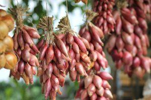 10 Simple Steps to Embrace an Organic Lifestyle Today