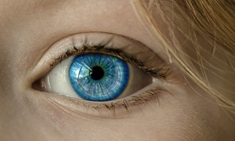 10 Simple Tips to Boost Support for Eyesight Today