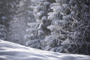 10 Surprising Benefits of BHB Powder You Must Know!