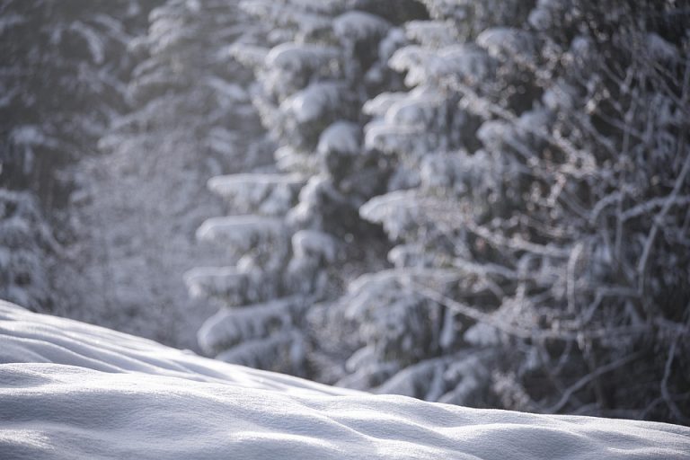10 Surprising Benefits of BHB Powder You Must Know!