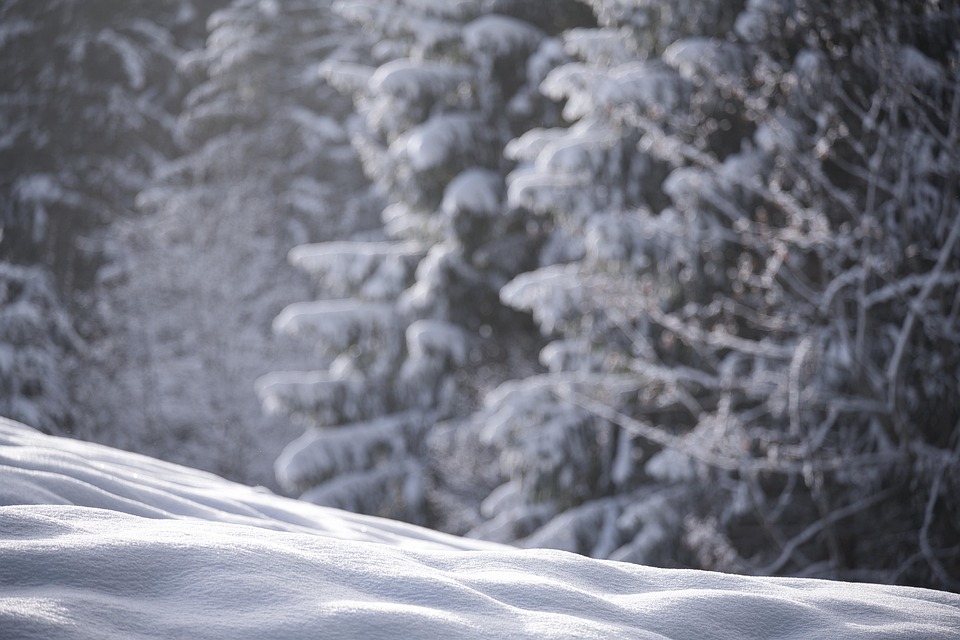 10 Surprising Benefits of BHB Powder You Must Know!