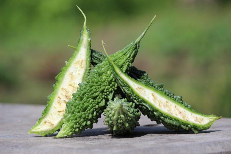 10 Surprising Benefits of Bitter Melon Tea You Must Try