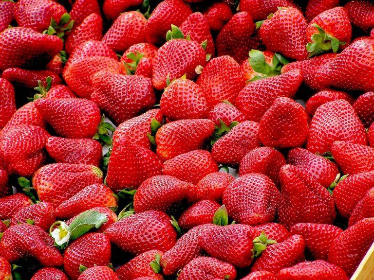 10 Surprising Benefits of Choosing Organic Foods Today