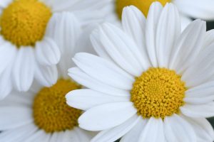 10 Ways to Reduce Tinnitus Naturally and Find Relief