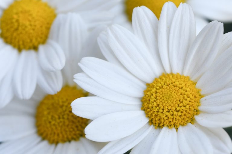 10 Ways to Reduce Tinnitus Naturally and Find Relief