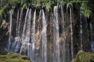 7 Amazing Drops for Better Vision You Must Try Today