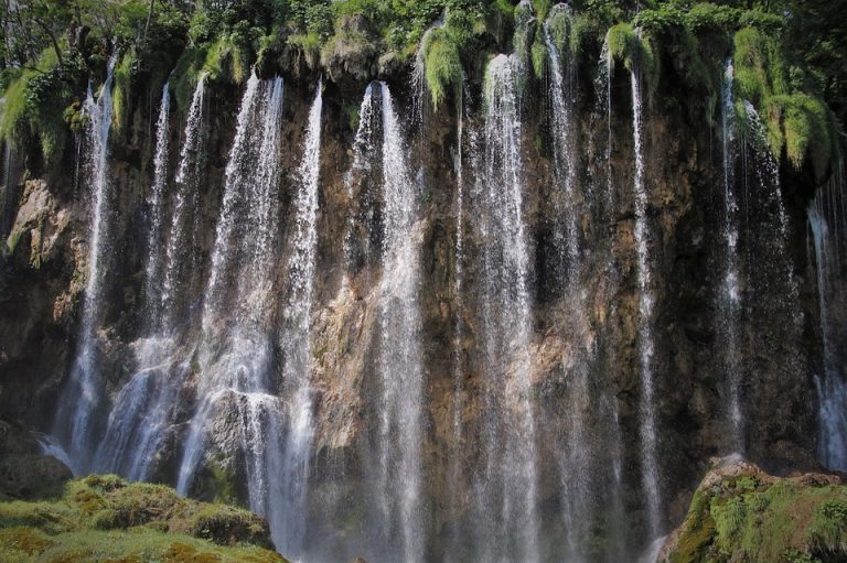 7 Amazing Drops for Better Vision You Must Try Today