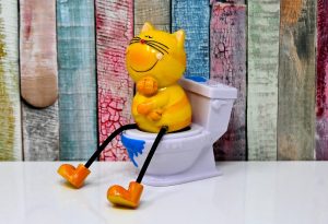 7 Best Cat Litter Reviews You Can't Afford to Miss!