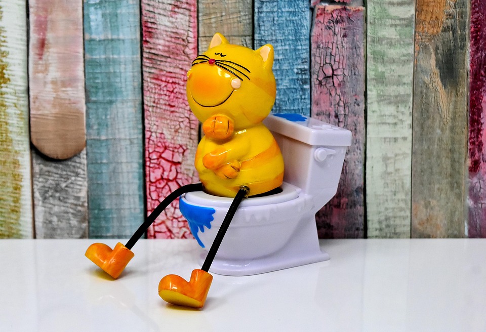 7 Best Cat Litter Reviews You Can't Afford to Miss!