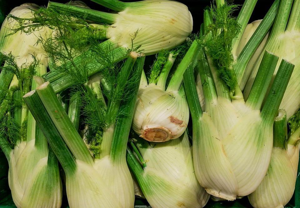 7 Detox Herbs to Revitalize Your Health Today
