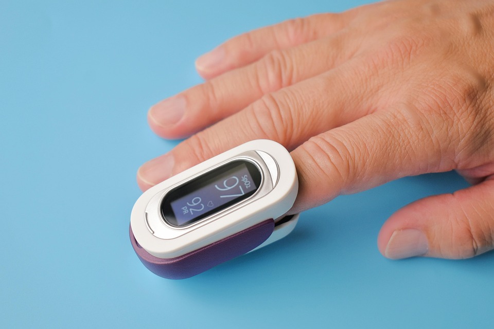 7 Essential Tips for Effective Pet Health Monitoring