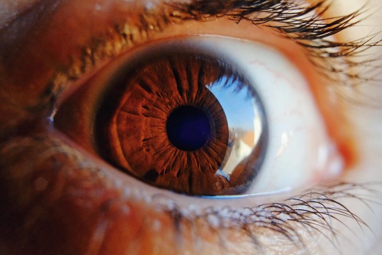 7 Essential Tips to Protect Retina Health Today