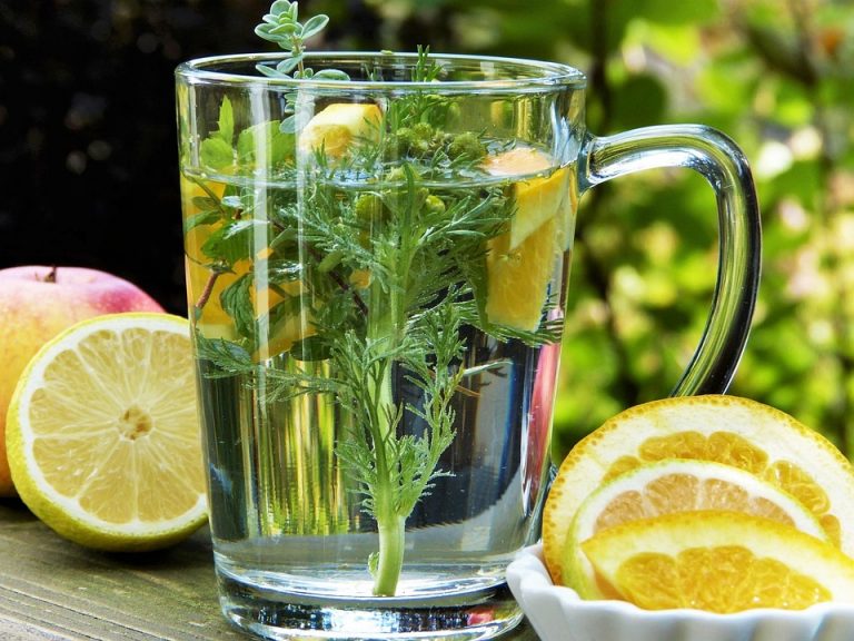 7 Herbal Immune Defenses for Herpes You Must Try