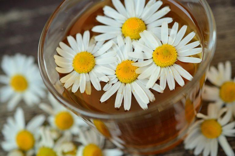 7 Herbal Remedies for Everyday Ailments You Need to Try
