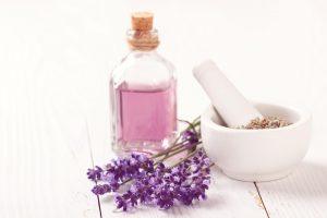 7 Herbal Remedies for Everyday Wellness You Need to Try