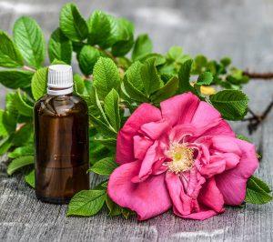 7 Herbal Remedies to Banish Fatigue Naturally