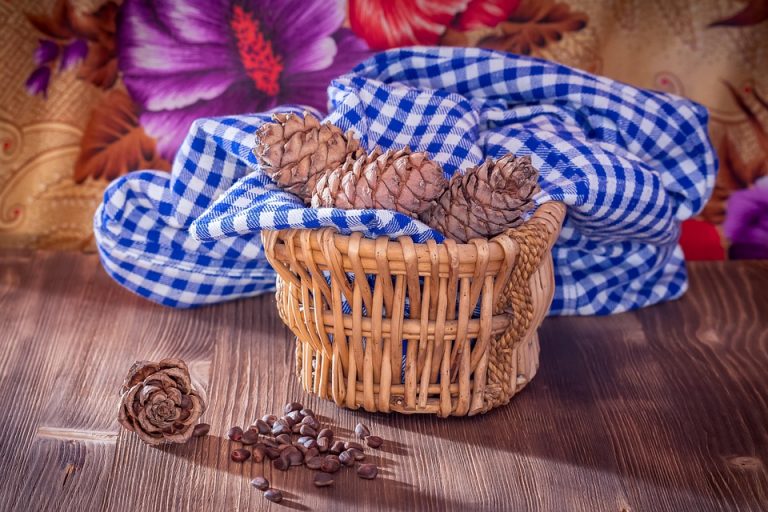 7 Incredible BHB Benefits You Need to Know Today!
