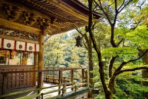 7 Mind-Blowing Traditions in Japanese Culture You Must Know