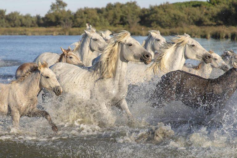 7 Momentum Indicators Every Trader Should Master