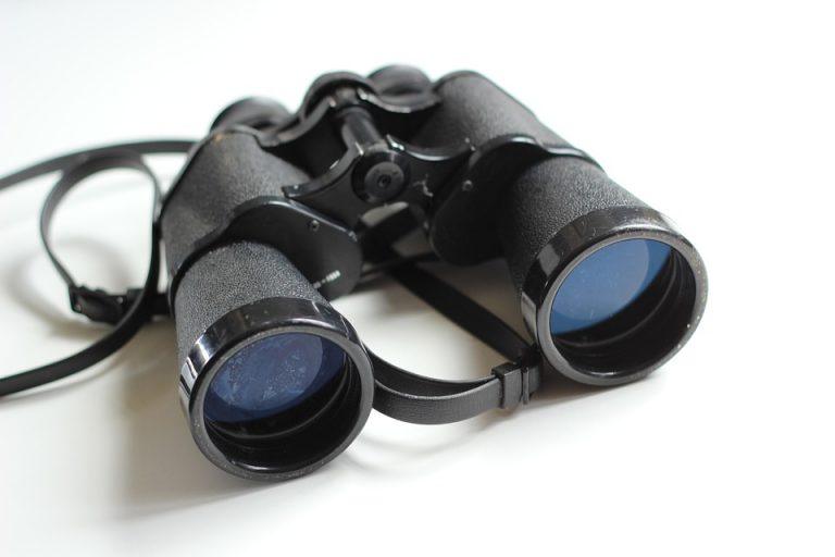 7 Must-Have Trend Detection Tools for Smart Traders