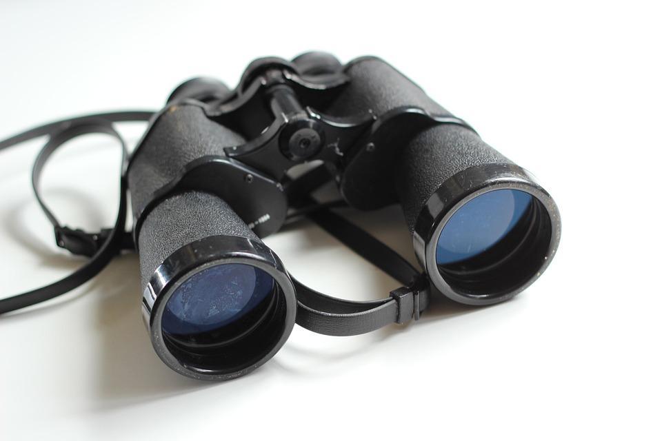7 Must-Have Trend Detection Tools for Smart Traders