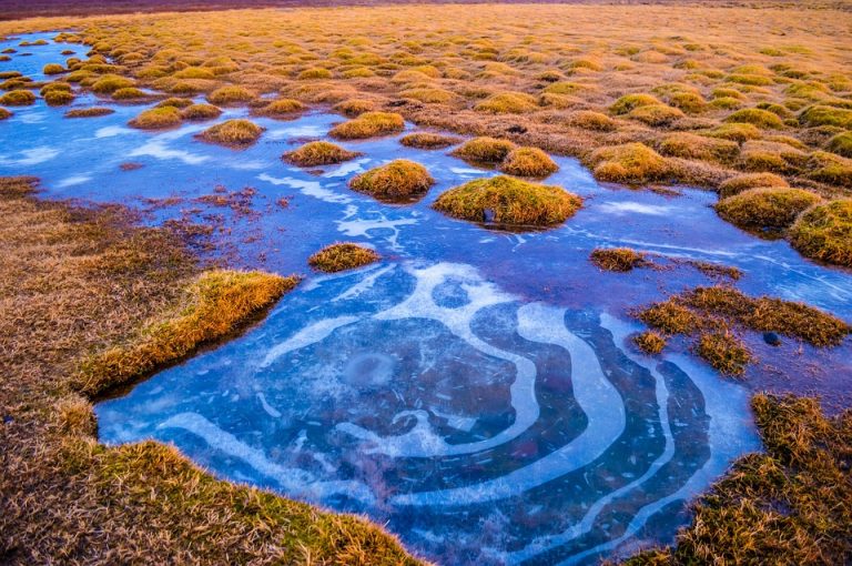 7 Must-See Stops on the Golden Circle Iceland Map