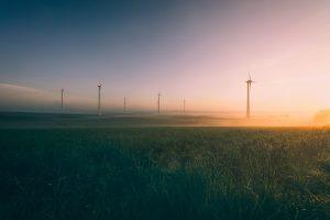7 Natural Energy Boosters to Revitalize Your Day