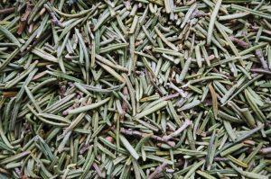 7 Natural Herbs That Transform Your Digestion Today
