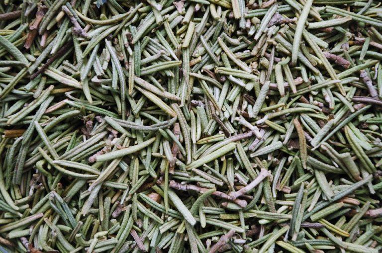 7 Natural Herbs That Transform Your Digestion Today