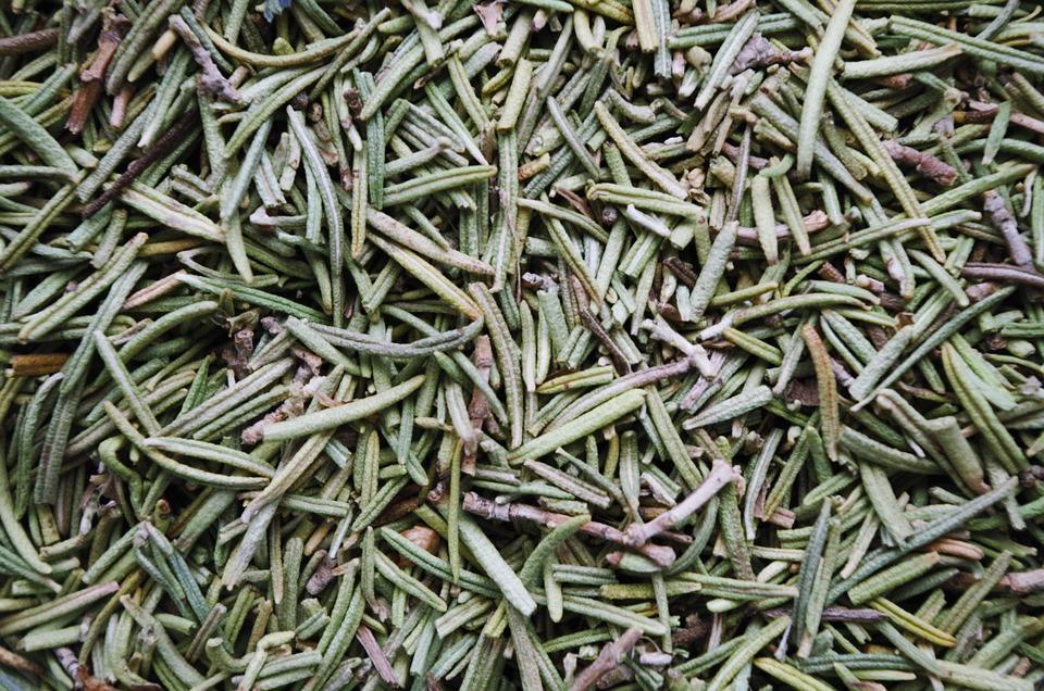 7 Natural Herbs That Transform Your Digestion Today