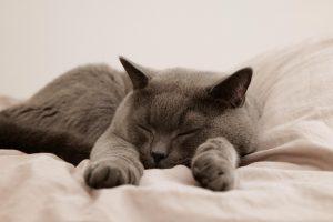 7 Natural Sleep Hacks for Restful Nights Ahead