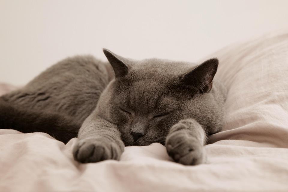 7 Natural Sleep Hacks for Restful Nights Ahead